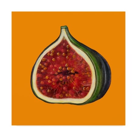 Sarah Thompson-Engels 'Fig On Orange' Canvas Art,35x35